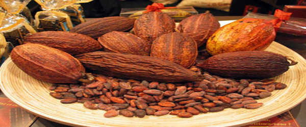 Top 10 Cocoa Producing Countries